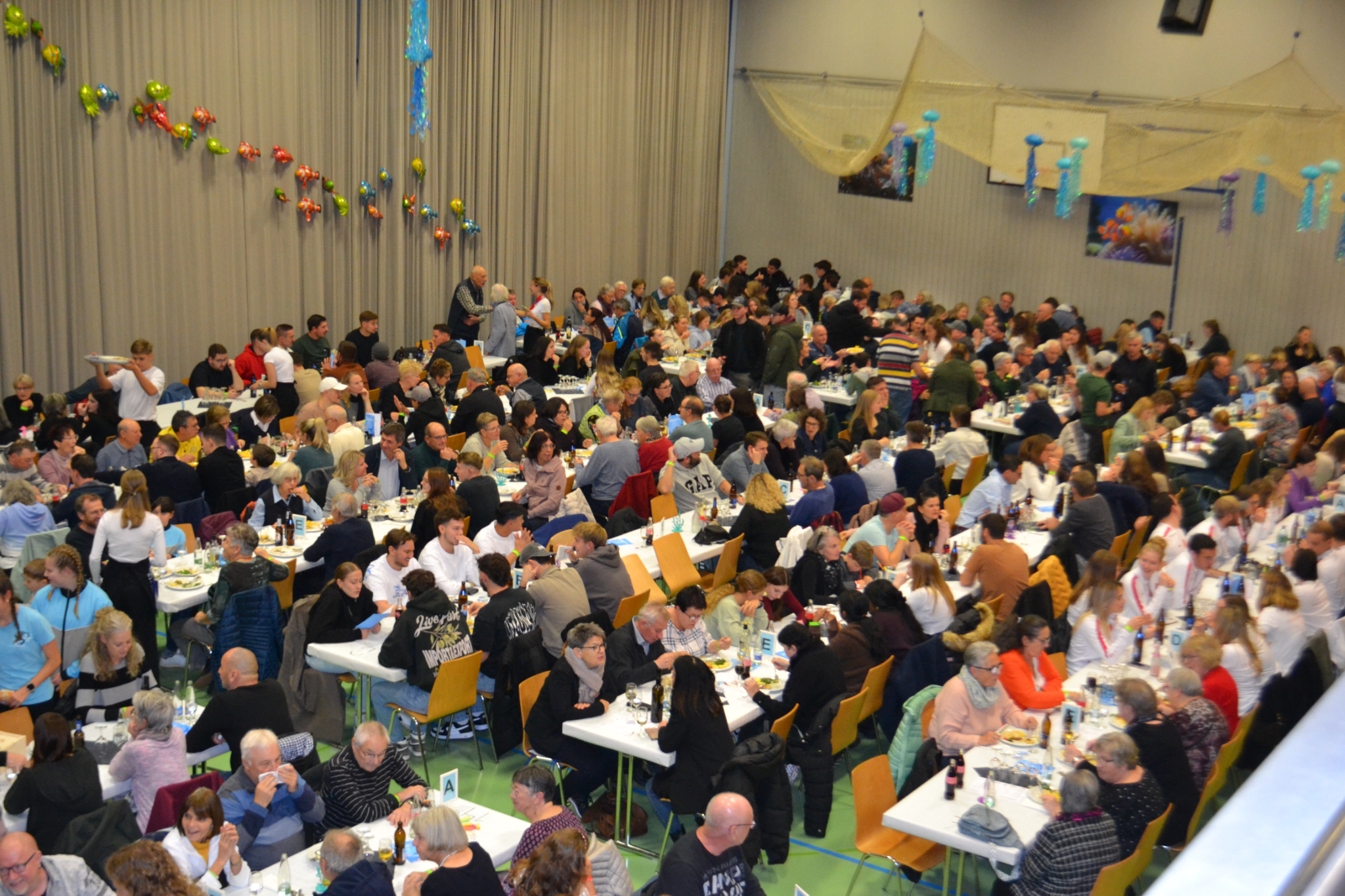 Bild4 (14)